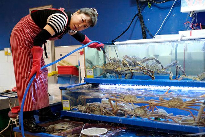 Cartografías de un sueño